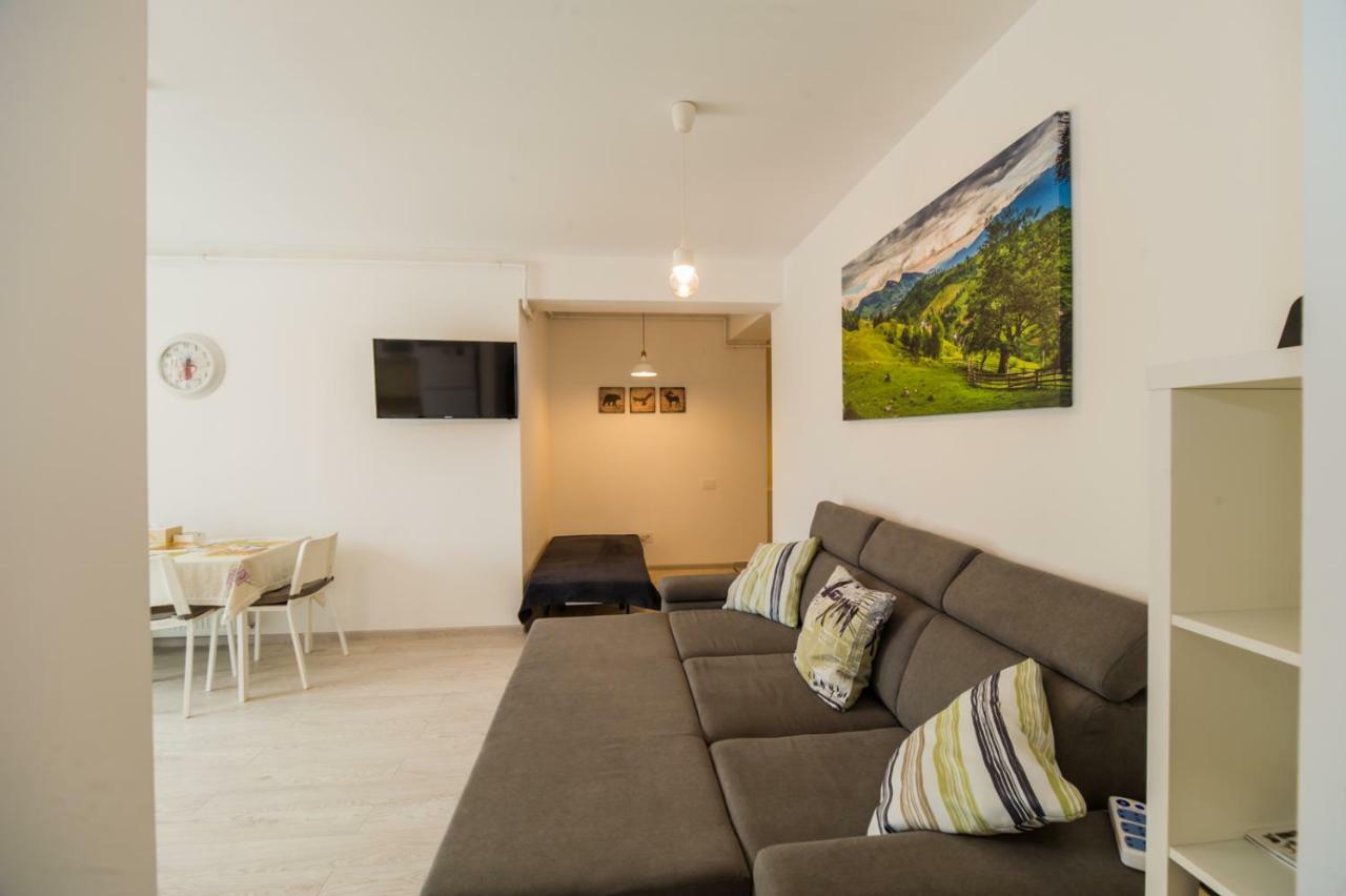 Schiller Apartment 57 - Free Private Parking Μπρασόβ Εξωτερικό φωτογραφία
